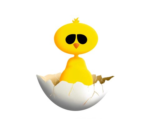 Chick